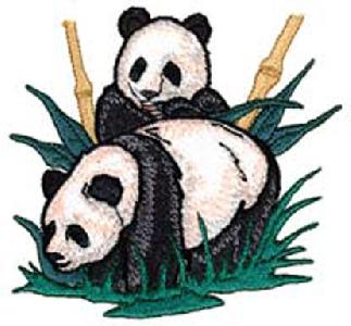 wo588-panda-allat-temaju-himzominta.jpg