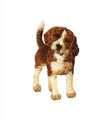 felvasalható matrica - Beagle kutya.jpg