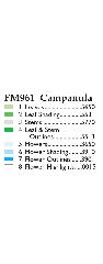 fm961-virag-temaju-himzominta-szinkodok.jpg