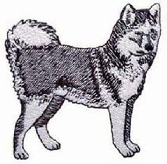 wl095-husky-kutya-himzominta.jpg