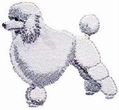 wl097-poodle-kutya-himzominta.jpg